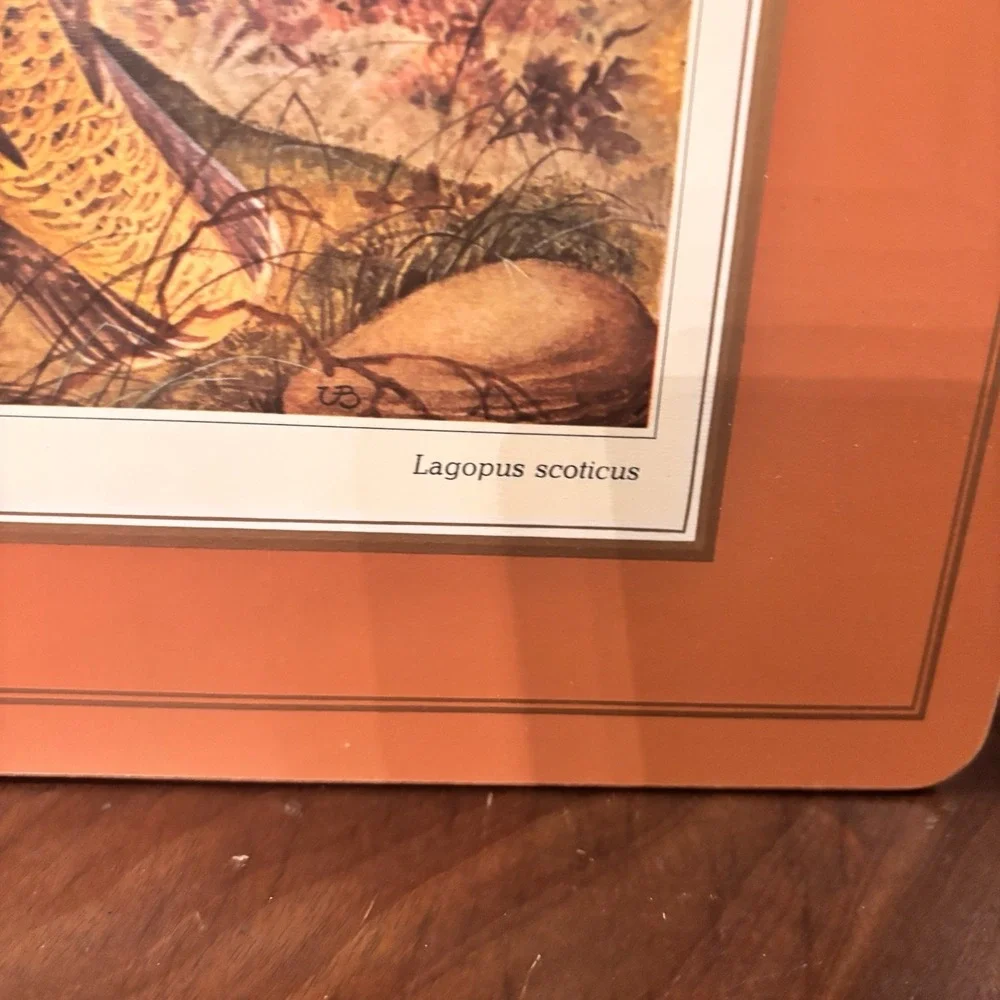 Vintage Pimpernel Red Grouse Cork Back Placemats Set‎ of 4 Wildlife Bird